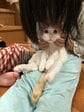 「初めての猫吸い」にまんまるの瞳でこちらを見つめる子猫…困惑した表情がほほえましい
