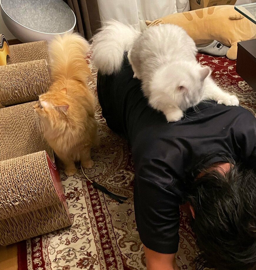 出所：@NEKOLAND13