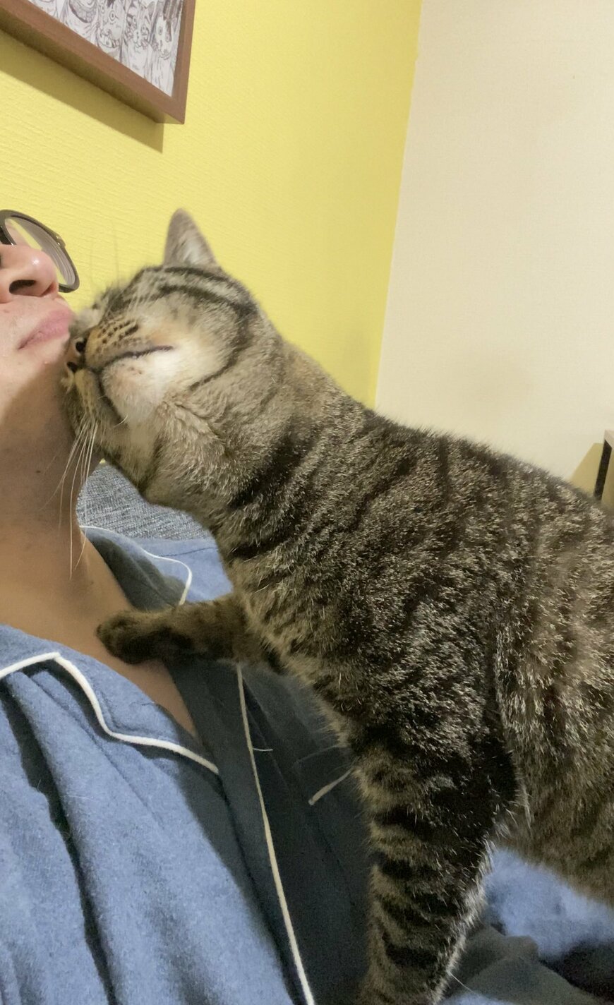 出所：@00shitemita