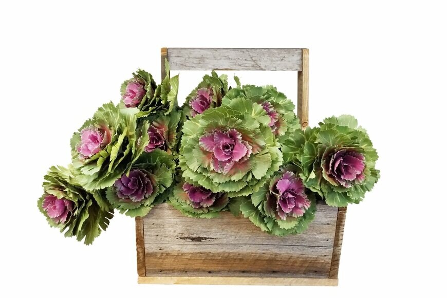 Tommy Atthi/Shutterstock.com