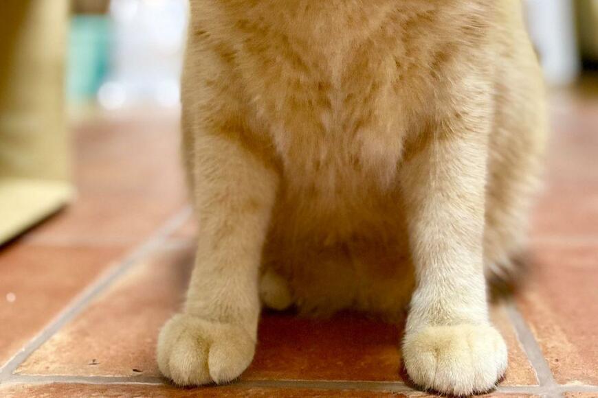 出所：@luna7taka9