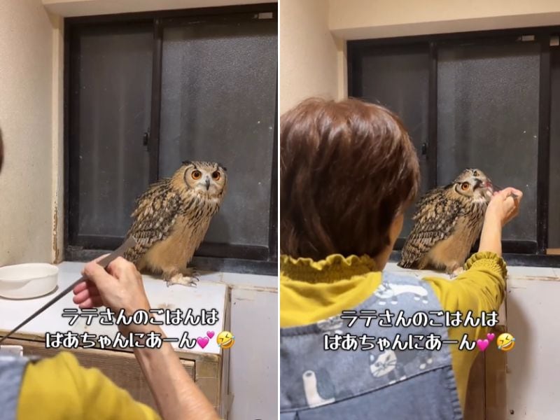 出所：@ba_chantolatte