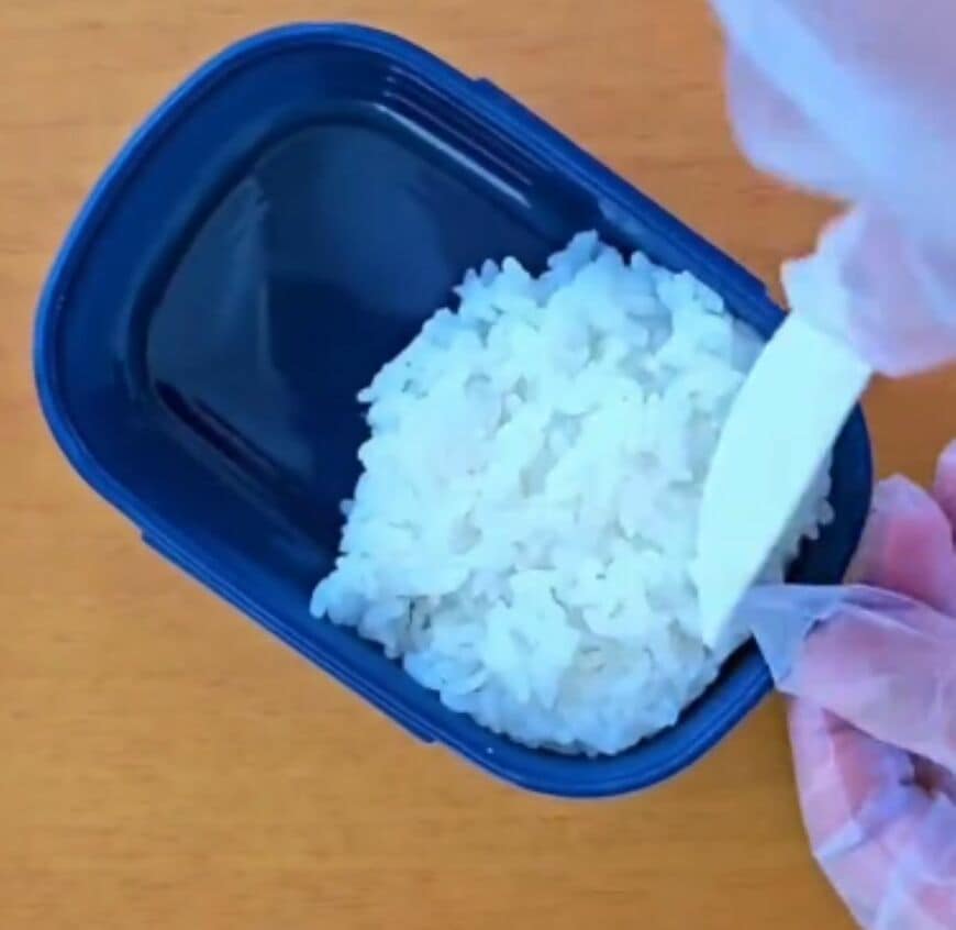 「その手がありましたか！」クッキーの型を使った【恐竜の化石弁当】は男の子のママ必見のキャラ弁