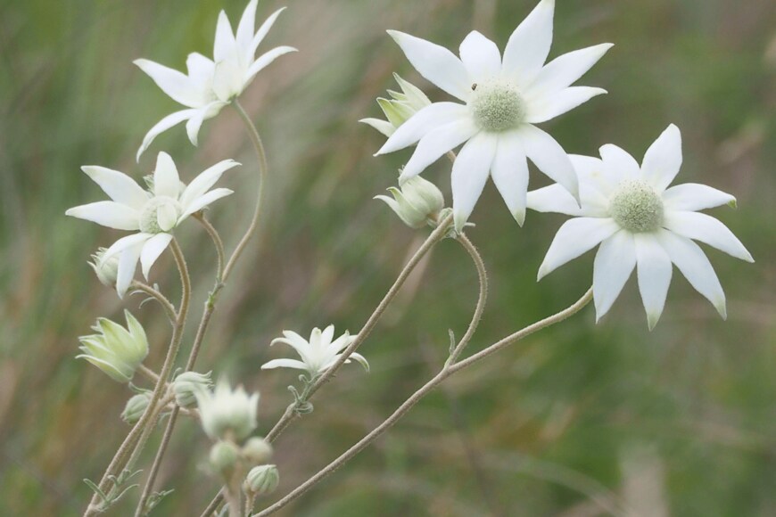 John Porter/istockphoto.com