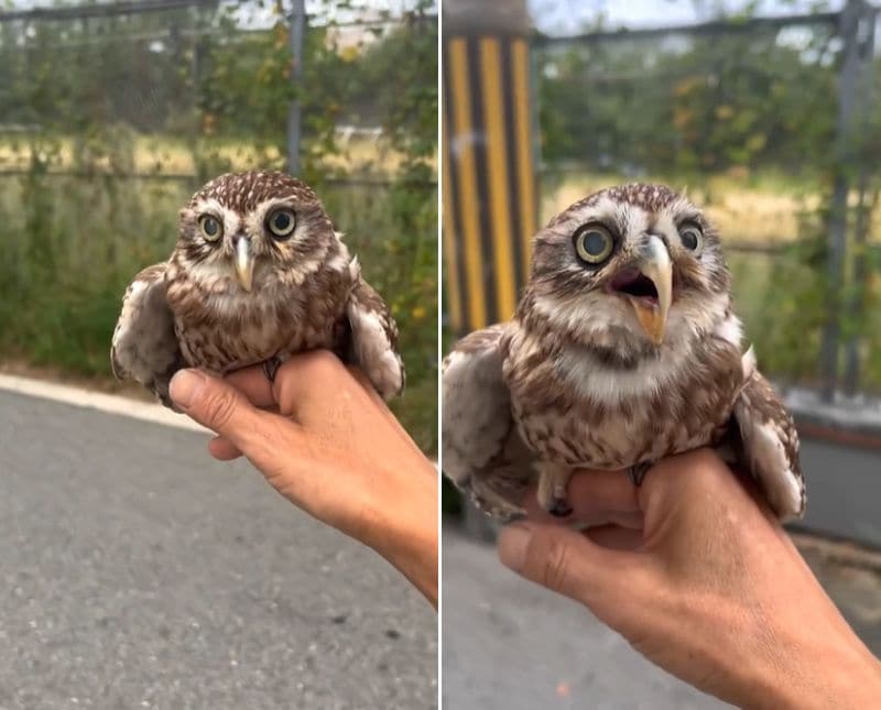 出所：@cr8673.hiro