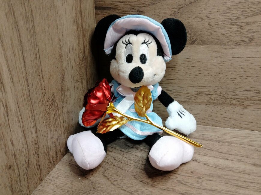 筆者撮影（セリア、ミニクラシカルローズ）