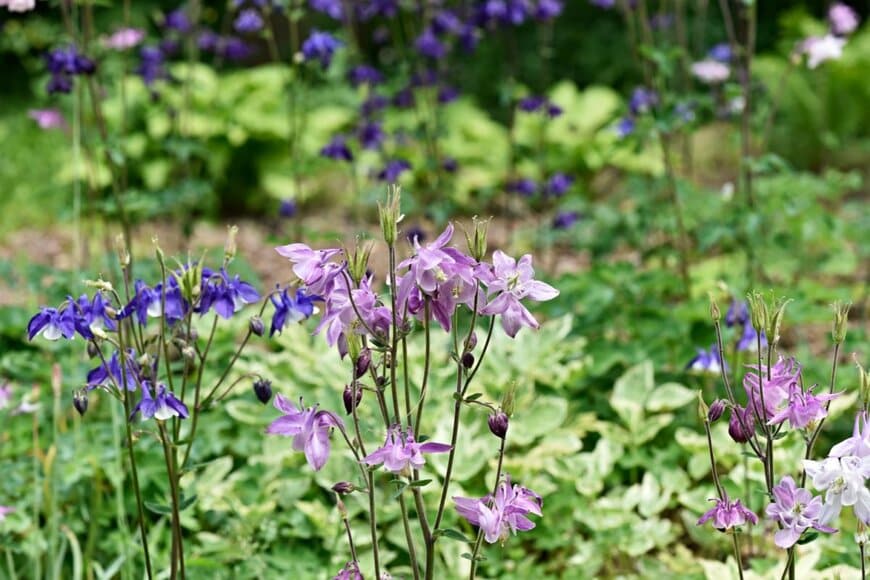 Lana B/shutterstock.com