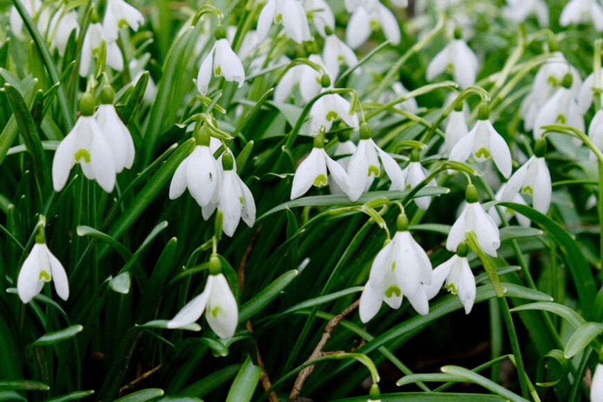 Olena Tselykh/shutterstock.com