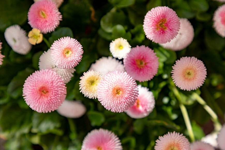 travelview/istockphoto.com