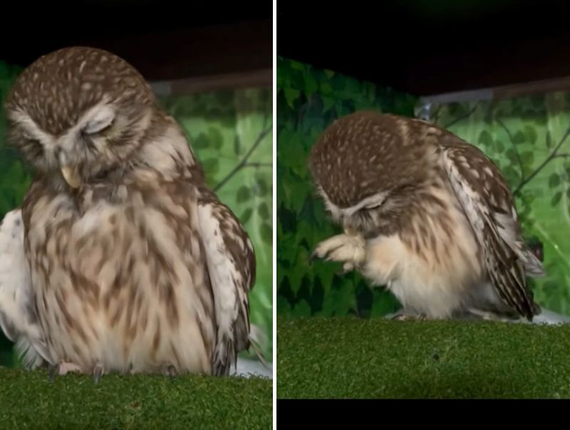 出所：@cr8673.hiro