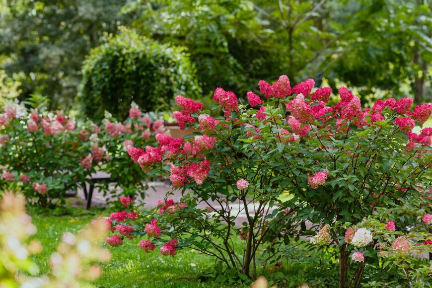 Flower_Garden/shutterstock.com