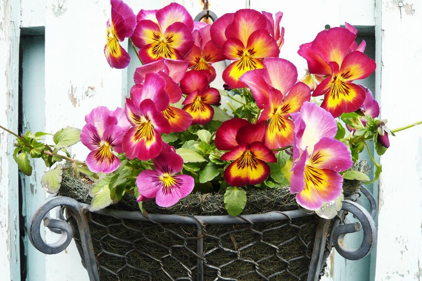 chuugo/shutterstock.com