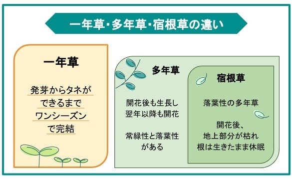 出所：LIMO編集部作成