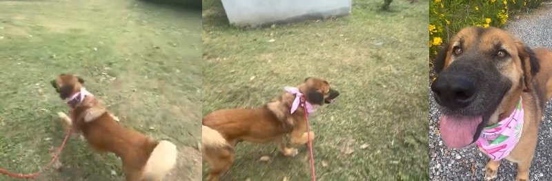 出所：@niall.harbison