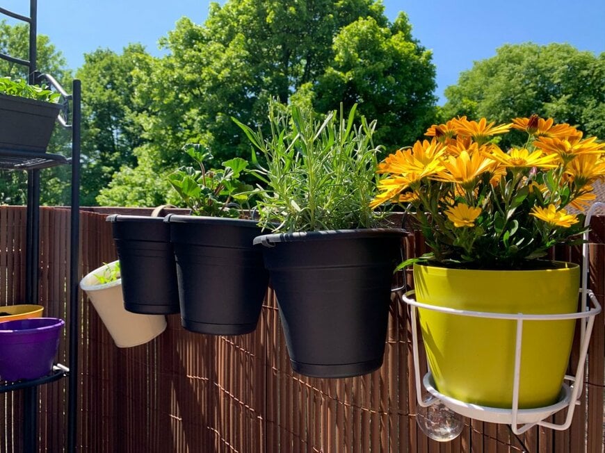 Lapa Smile/shutterstock.com