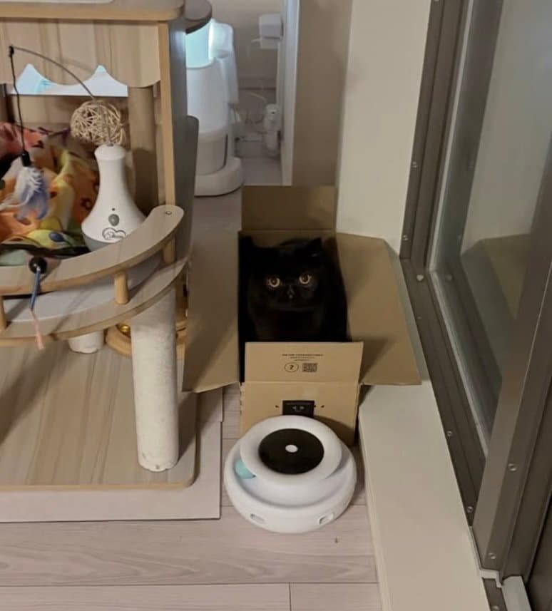 出所：@kotetsu_0420