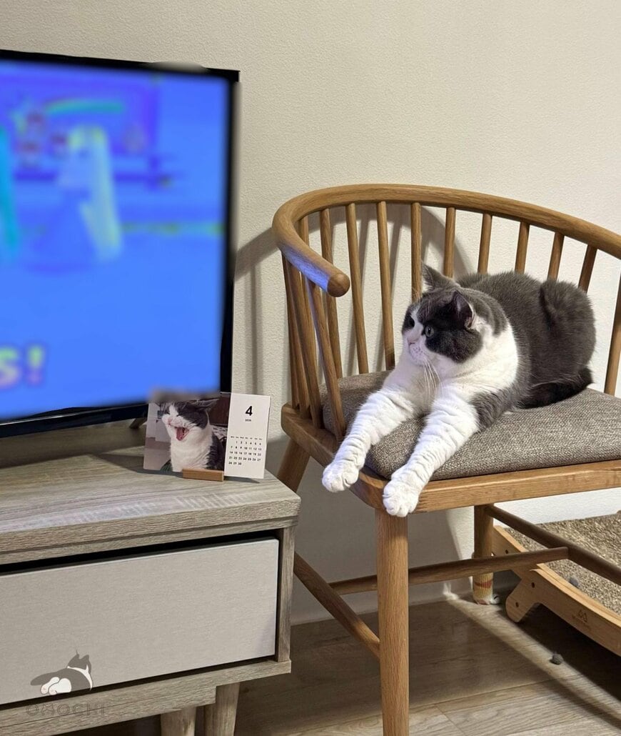 出所：@omochiomoching