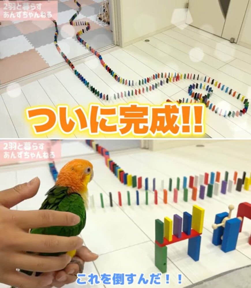 出所：@anz_omomiri