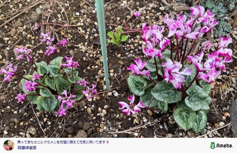 出所：假屋崎省吾の公式ブログ　 参照日：2026年1月23日