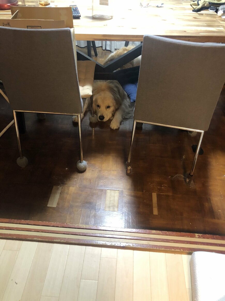 出所：@elmo_golret