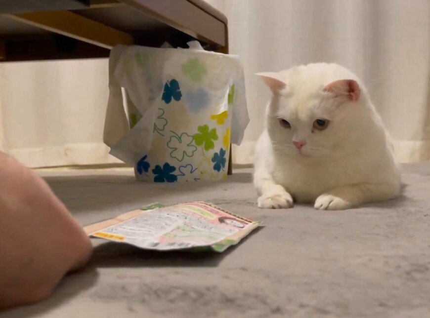 出所：＠wataneko_tsuki