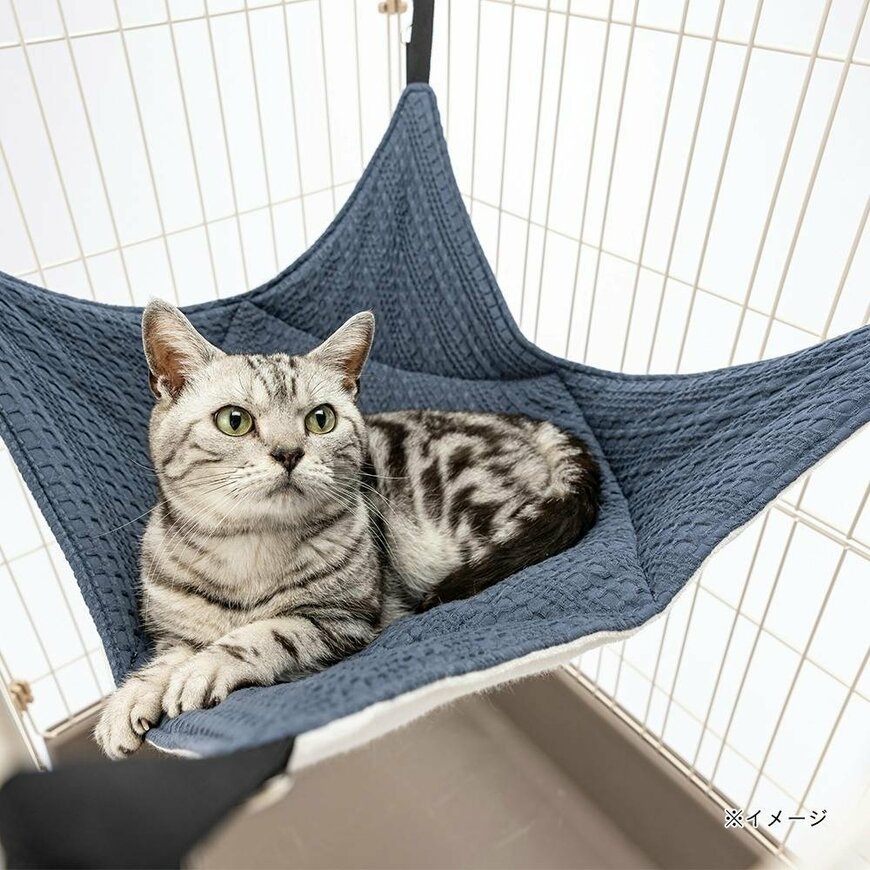 画像出所：カインズ公式オンラインストア