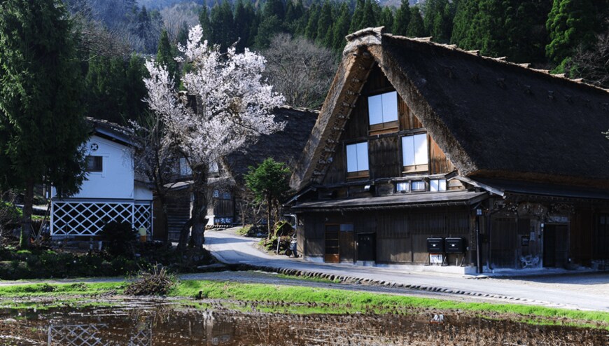 出所：一般社団法人白川郷観光協会公式サイト