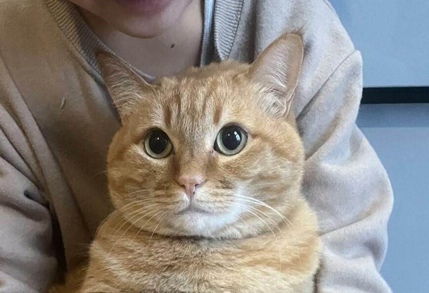 出所：@kagisuzu0531