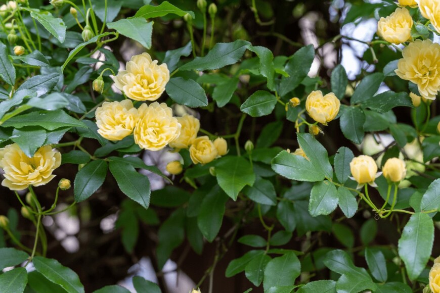 icebergpicture/istockphoto.com