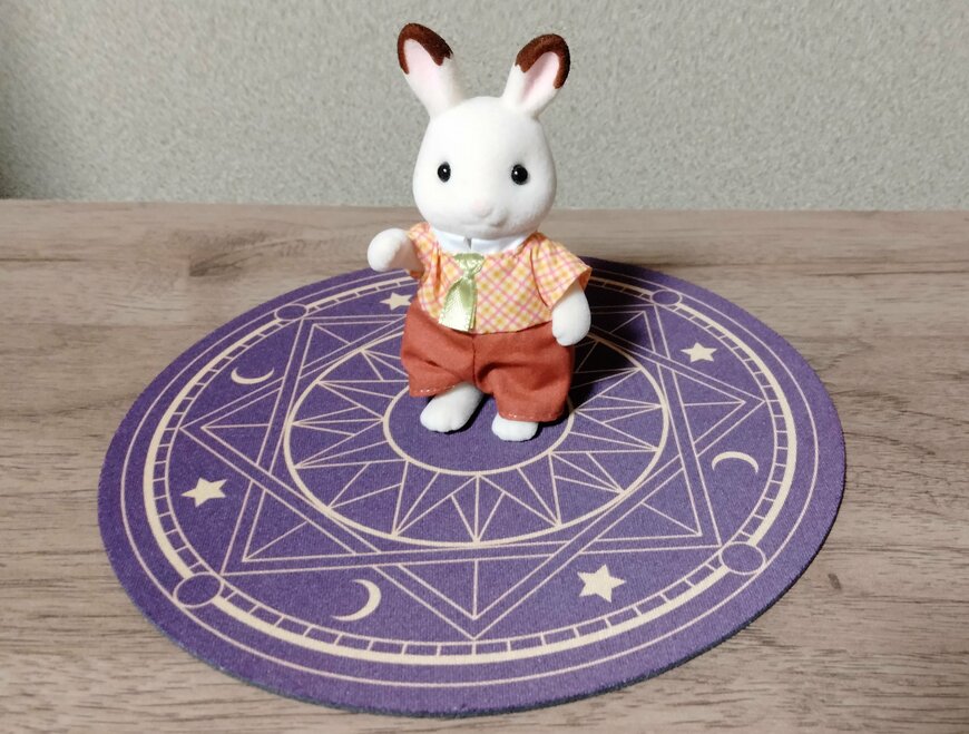 筆者撮影（セリア、ハロウィン マット 魔法陣）