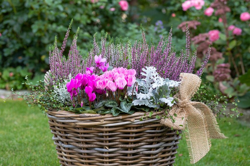 Natalia Greeske/Shutterstock.com