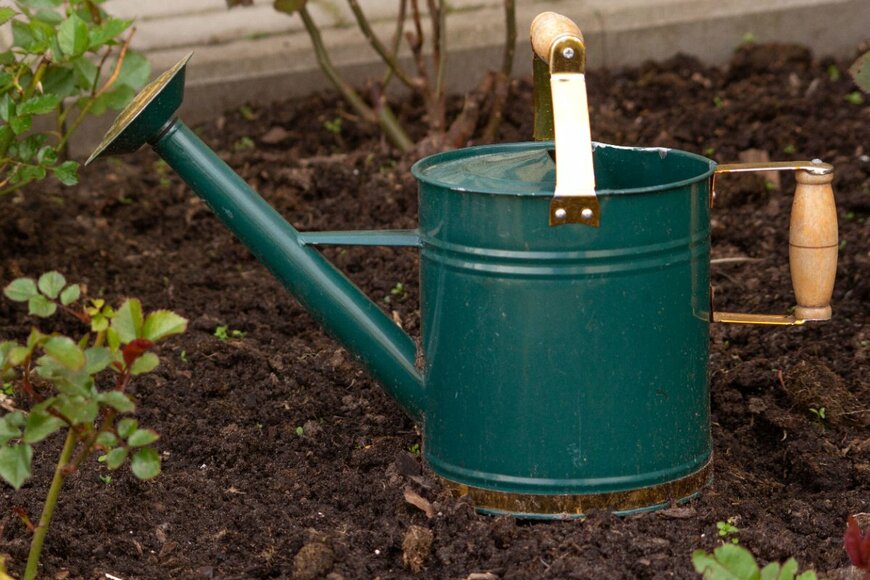 beauty Natalya/shutterstock.com