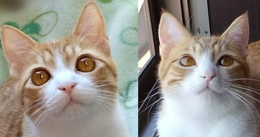 出所：@mero627puri914