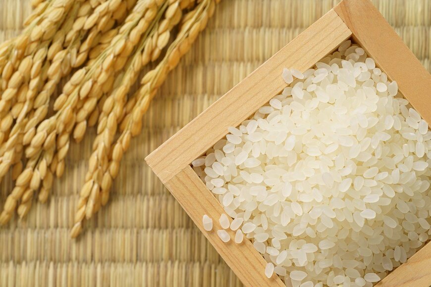日本人の約5割が知らなかった「日本とタイ、米の生産量が多いのはどちら」　思わず納得する正解