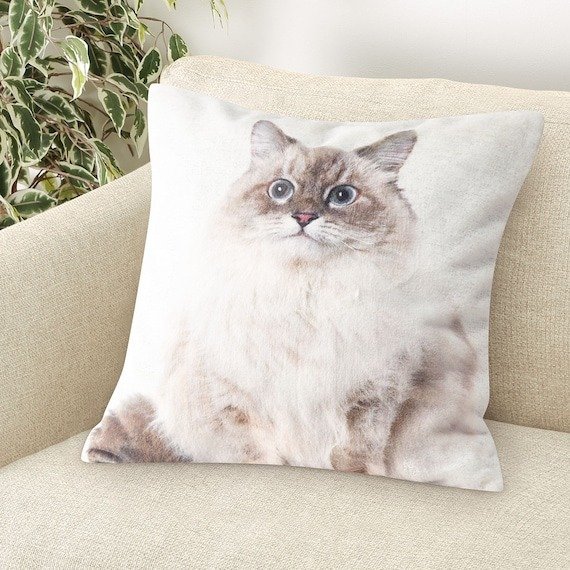 出所：ニトリ公式　クッションカバー（ファーネコFP2501 45×45cm）