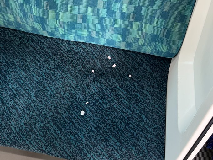 電車の座席に落ちていた桜の花びら