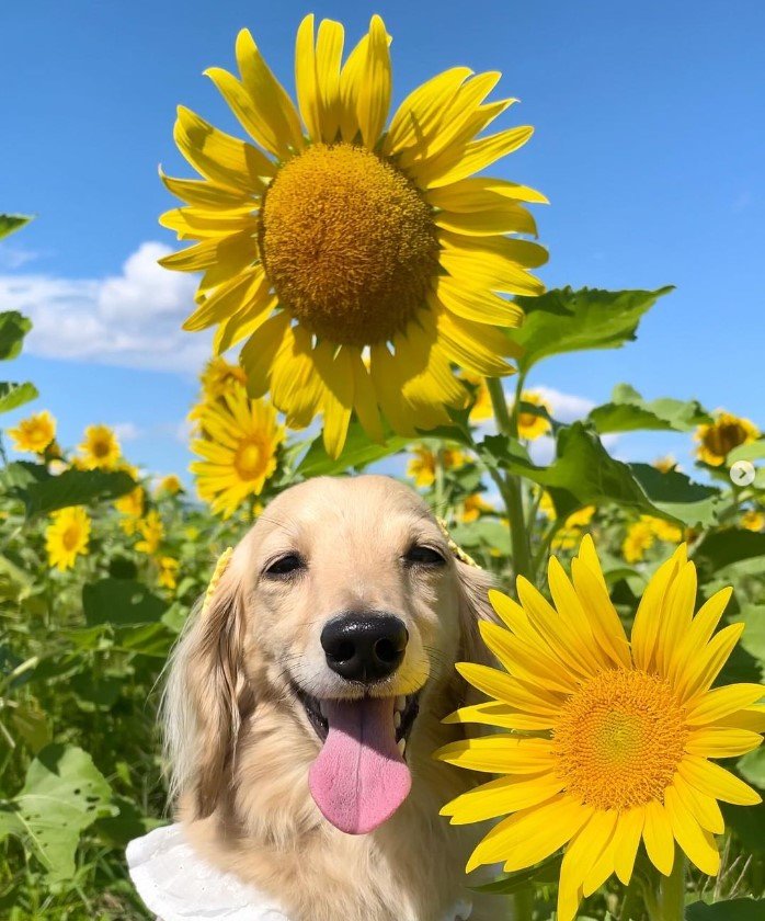 満面の笑みのひまりちゃん