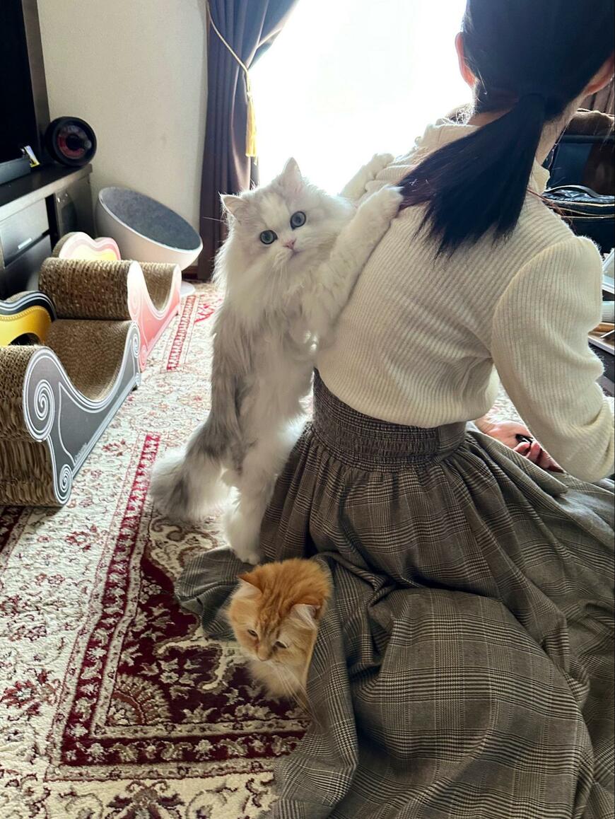 ママと猫