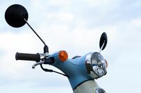 バイクの隙間に入り込んだ「鳥」　何度も見てしまう光景に「ビビった」