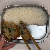 斜めにカットした春巻きを主菜とするお弁当を実際に作ってみた。具材が詰まった断面を見せつつ、副菜の配置を計算して隙間なく詰める【春巻き弁当】色鮮やかな副菜にも注目！