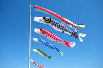 【70歳代】おひとりさまシニア。老後の柱「貯蓄」と「年金月額」の平均額はみんないくら？