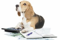 【会社員の退職金】みんないくらもらうのが普通か