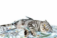 【投資FIRE】不労所得「月30万円」を作るおすすめの方法4つを元証券会社員が解説！