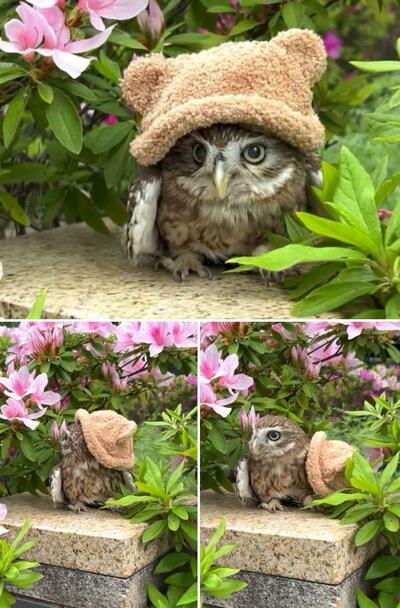 投稿動画のワンシーン