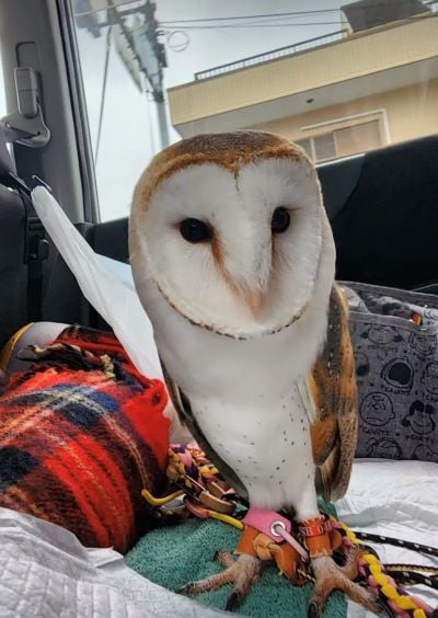 投稿動画のワンシーン