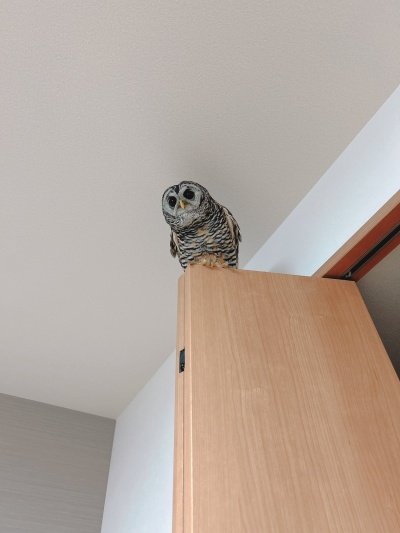 投稿写真のワンシーン