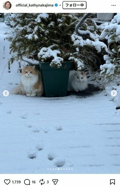 キャシー中島のInstagram投稿