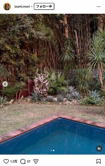 森泉のInstagram投稿