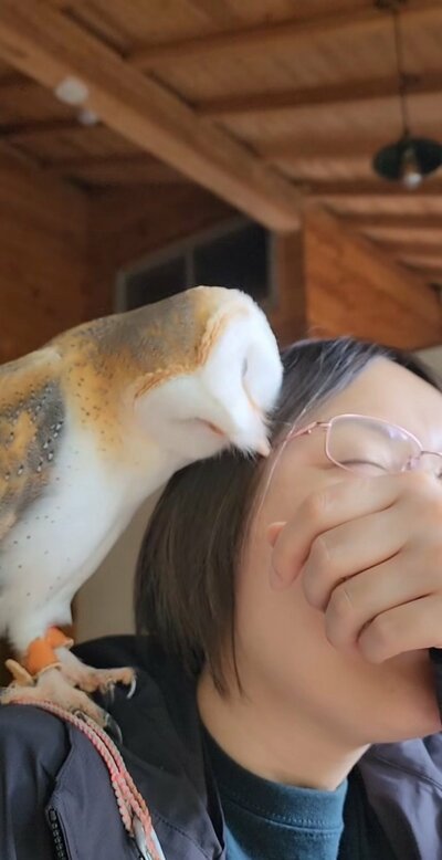 投稿動画のワンシーン