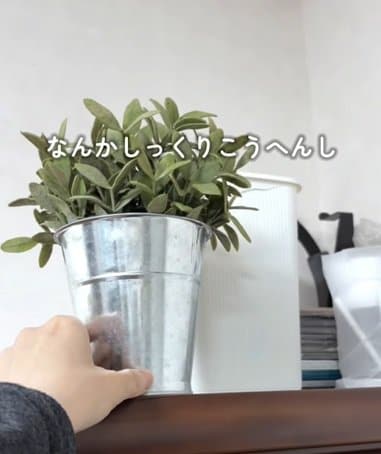【植物DIY】置き場に困る観葉植物を吊るすインテリアに。床や棚にスペースがなくても、天井や壁面を活用して部屋の限られた空間を有効に使う工夫